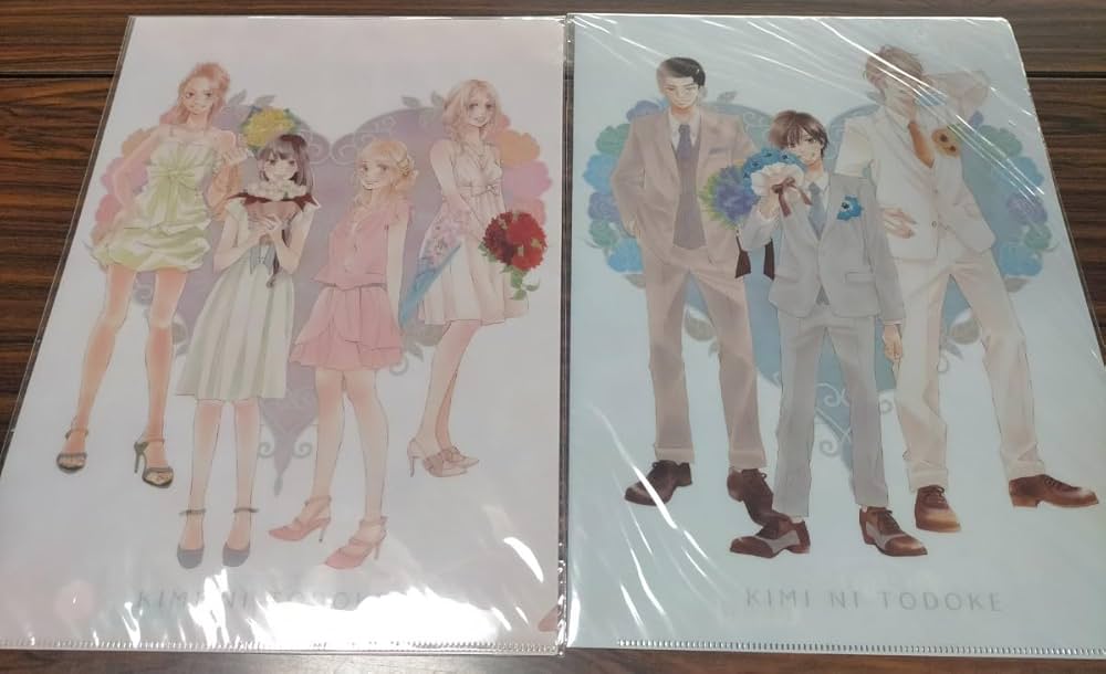 君に届け クリアファイル 君に届け展 希少品 2種セット 新品 椎名軽穂 Amazon.co.jp: 君に届け クリアファイル 君に届け展 2種セット